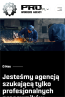 Portfolio PRO Workers Agency - widok Komórka