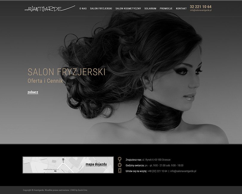 Portfolio Avantgarde - widok PC