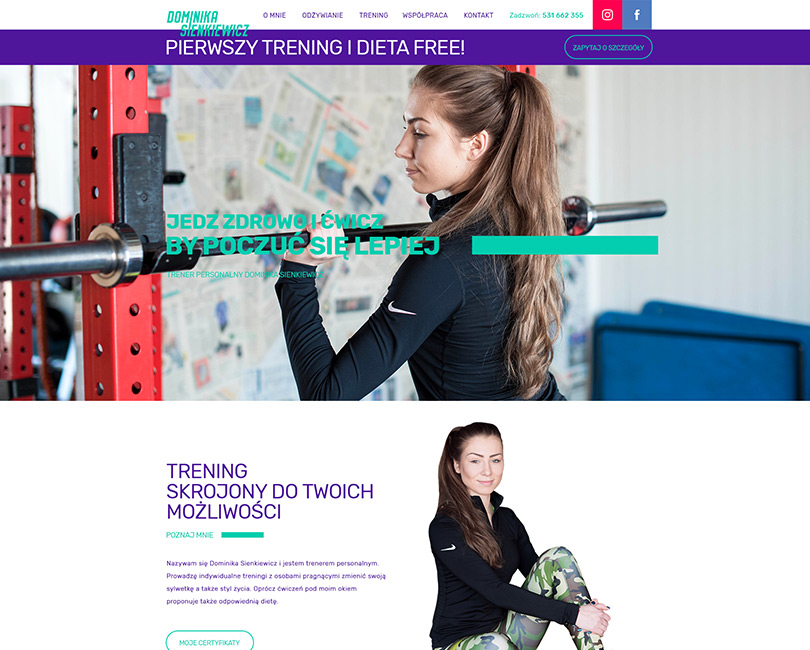 Portfolio Dominika Sienkiewicz - widok PC