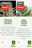 Portfolio Świat Konopii - widok Komórka