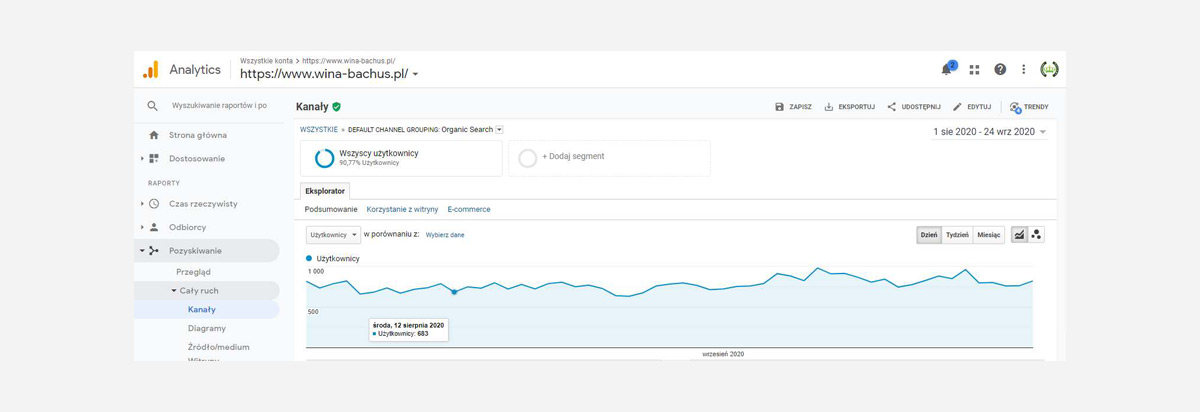 Case Study - Migracja i rozbudowa sklepu internetowego - Wykres ruchu organicznego wg Google Analytics