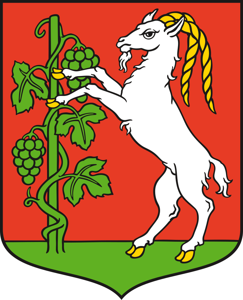 SEO / Pozycjonowanie lokalne Lubin
