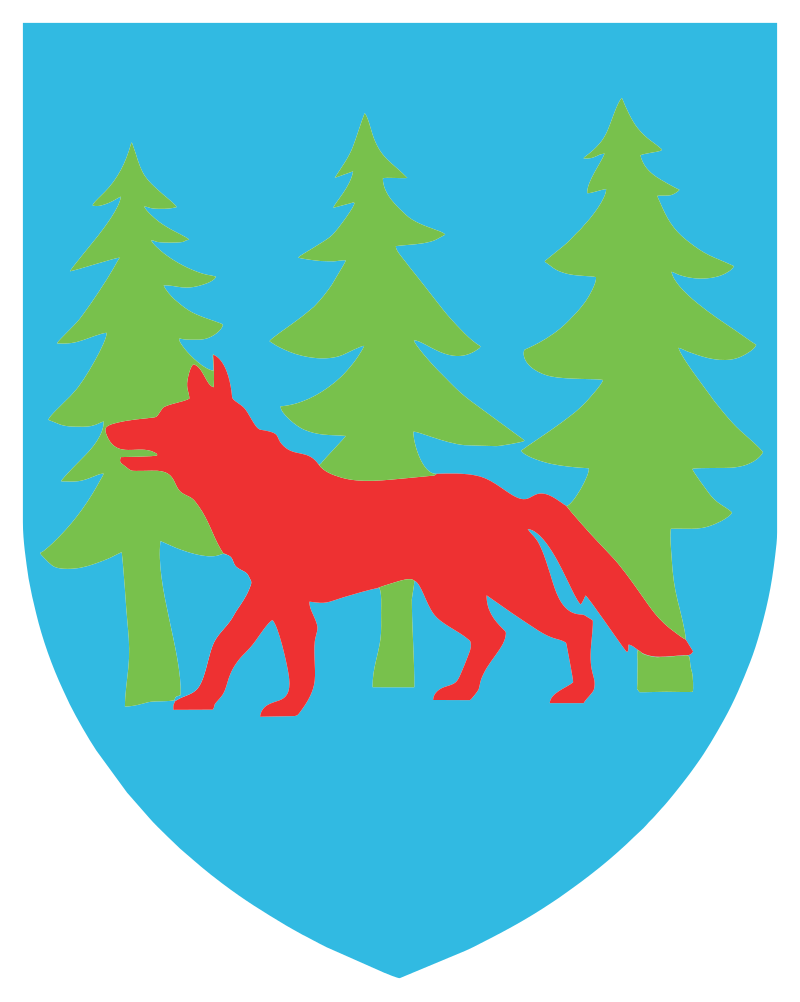 SEO / Pozycjonowanie lokalne Grajewo